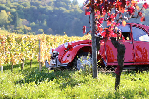 Conducteur de 2CV